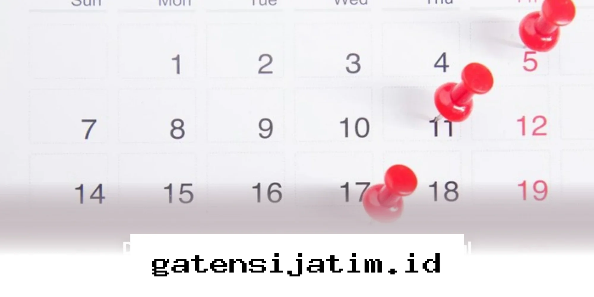 Catat Jadwal Libur Mei 2026, Cek Tanggal Merah dan Cuti Bersama Idul Adha di Sini!