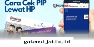 Cara Mudah Cek Jadwal dan Status Pencairan Bantuan PIP 2026 Lewat Ponsel Anda